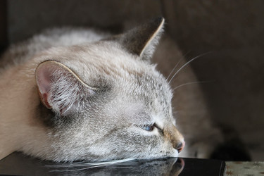 Similar image 21979377