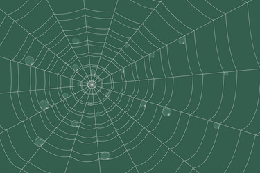 Similar image 21979566