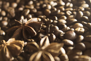 Similar image 21979568