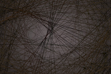 Similar image 21979583