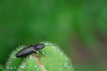 Similar image 21979624