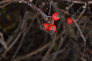 Similar image 21977798