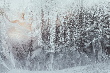 Similar image 21979409