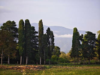 Similar image 21977944