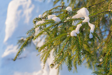 Similar image 21978109