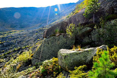 Similar image 21978841