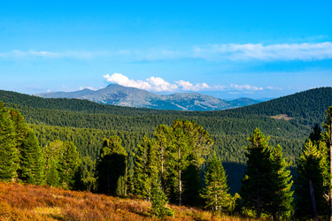 Similar image 21978846