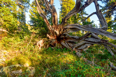 Similar image 21978847