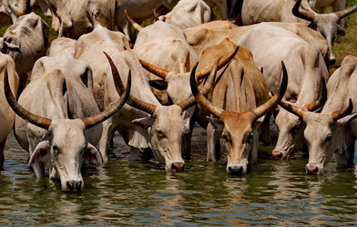 Similar image 21988406