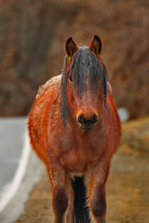 Similar image 21989404