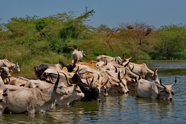 Similar image 21988407