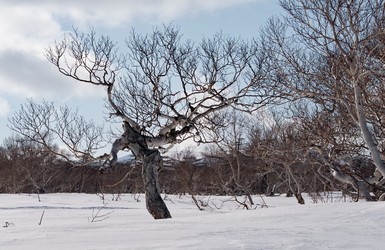 Similar image 21986134