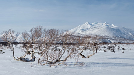 Similar image 21986135