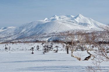 Similar image 21986136