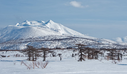 Similar image 21986138