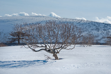 Similar image 21986139