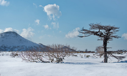 Similar image 21986140