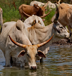 Similar image 21988411