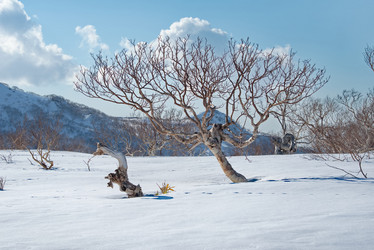 Similar image 21986141