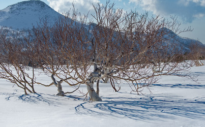 Similar image 21986142