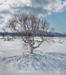 Similar image 21986143