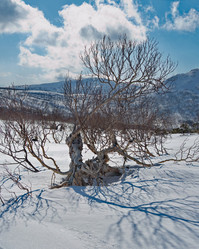 Similar image 21986144