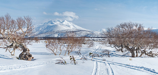 Similar image 21986145