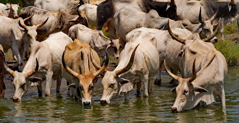 Similar image 21988412