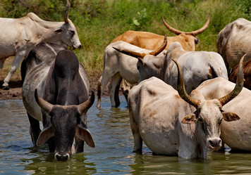 Similar image 21988413