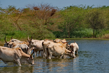 Similar image 21988414