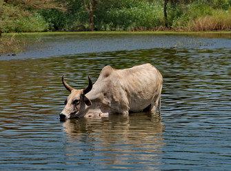 Similar image 21988415