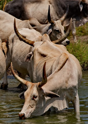 Similar image 21988416