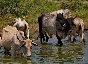 Similar image 21988417