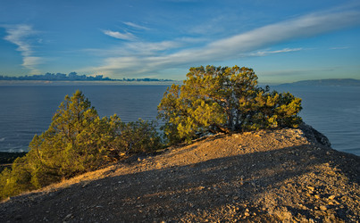 Similar image 21988541