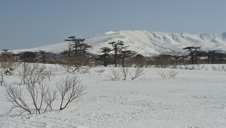 Similar image 21986146