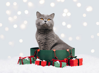 Similar image 21979477