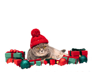 Similar image 21979482