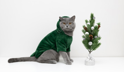 Similar image 21979492