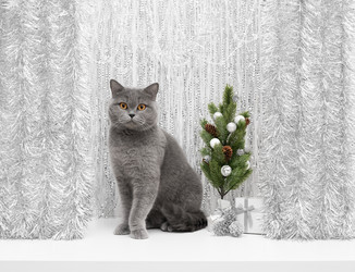 Similar image 21979494