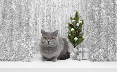 Similar image 21979495