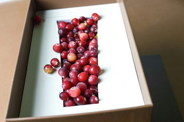 Similar image 21989761