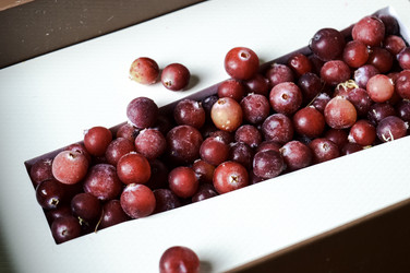 Similar image 21989763