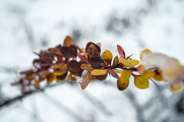 Similar image 21989772