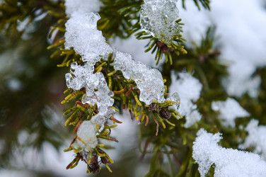 Similar image 21989773