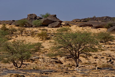 Similar image 21989409