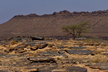 Similar image 21989410