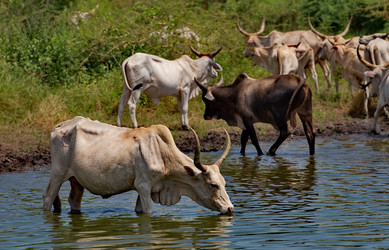 Similar image 21988420