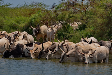 Similar image 21988421