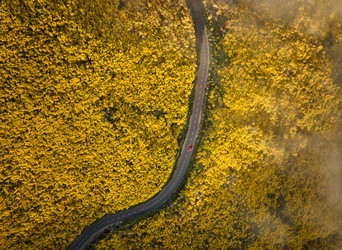 Similar image 21980516