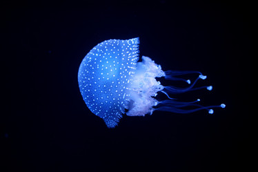 Similar image 21980517